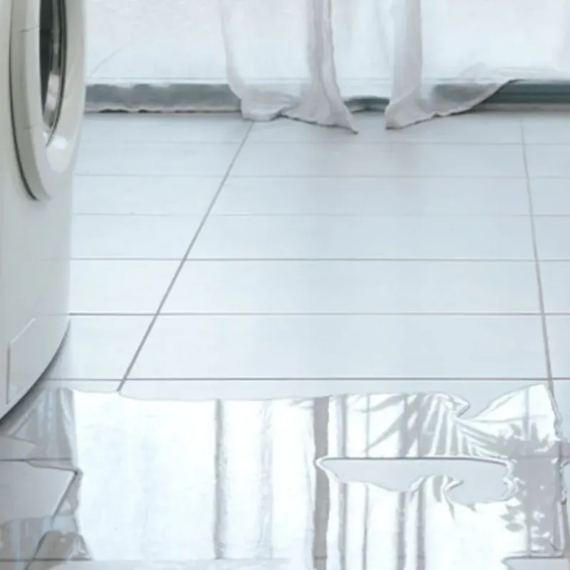 Appliance Leak Cleanup in Byron, IL
