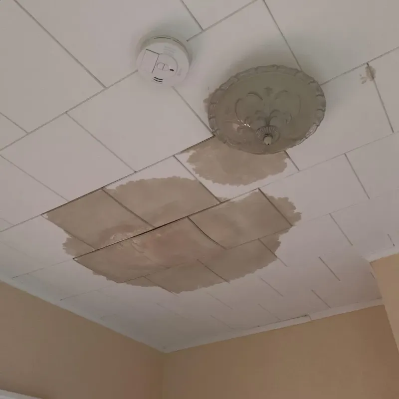 Ceiling Water Damage Repair in Byron, IL