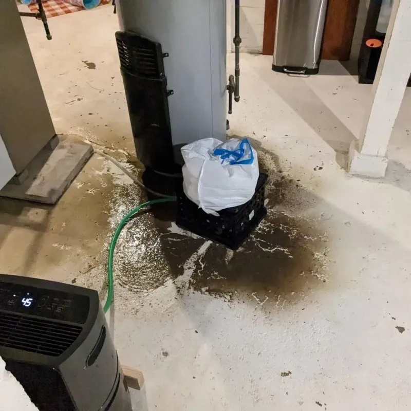 Sewage Backup Cleanup Service in Byron, IL